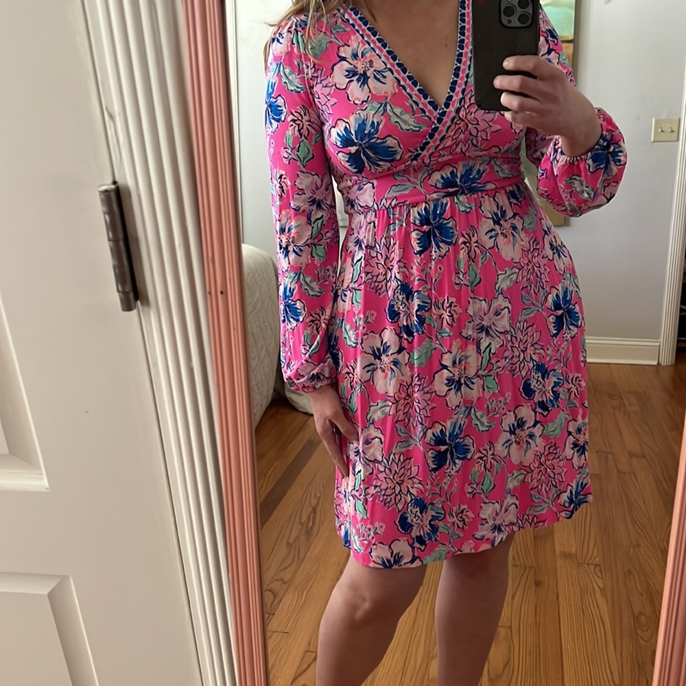 Lilly Pulitzer Carmilla Dress Pink Isle Last Bud Not Least 2 Preppy Coastal - Picture 2 of 16